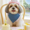 Blue denim pet bandana with floral trim and matching pink birthday hat for dogs - Little Rose Triangle Bib With Hat