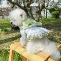 Floral pet maid dress with green organza bow and lace ruffles for small dogs - Wizard of Oz Dress