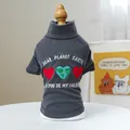 Dark gray ribbed high-neck pet sweater with Dear Planet Earth heart embroidery - XS (Weight 1.5kg) / Love and Peace-Embroidery-Gray