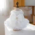 White pet wedding dress with large back bow and pearl collar for small dogs and cats - XS (Weight 1.5kg) / Princess Consort Wedding Dress / White