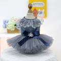 Detail of pet dress with grey velvet fabric, lace collar, and sparkling crown brooch - Royal Gown - Blue