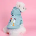 Tiffany blue pet hoodie with colorful WONDERFUL print for small dogs and cats - Tiffany Blue Wonderful Hoodie