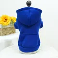 Detail view of royal blue pet hoodie featuring a back pocket and soft fleece texture - XS / Sapphire Blue