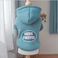 Blue-grey pet hoodie for dogs and cats with Shine Forever print on wooden stand - Blue Shine Forever Hoodie