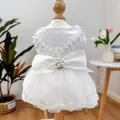 Detail of white pet wedding dress with satin bow, pearls and floral embroidery - Pearlescent Wedding Dress / S-Chest 35 Length 25cm (approx. 2-3kg)