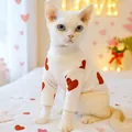 Creamy white high-neck pet sweater with red heart pattern for small dogs and cats - XS (Weight 1.5kg) / Tops / Heart Print Undershirt-White