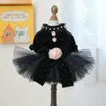 Elegant black pet velvet dress with pearl necklace and layered mesh skirt for small dogs - XS (Weight 1.5kg) / Sahara Rose Wedding Dress