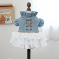 Süßes Haustierkleid aus Denim für kleine Hunde mit Spitze und braunen Kreuzträgern - XS / Texas Denim