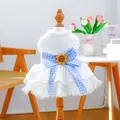 White eyelet lace pet dress featuring blue plaid bow and sunflower embroidery detail - XS Chest 30 Length 20 / Sea Salt Tutu Dress