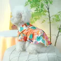 Orangefarbenes Hunde-Sommerhemd mit grünen Palmblättern und bunten Blumen für kleine Hunde - XS / Sommer-Soda-Design