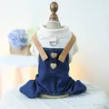 Conjunto de jersey y peto vaquero para perro con botones de corazón y enganche de correa en D - XS / Beige
