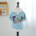 Sweat bleu ciel pour chien avec broderie Chicago colorée et anneau en D pour laisse - Sweat à Capuche Chicago Coloré