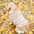 Beige knit dog sweater with colorful pompoms for French Bulldogs in autumn setting - M / Pearl Milk Tea Sweater