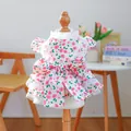 Cute pet dress with pink floral patterns, lace edges and a bow on a white background - XS / Little Rose Floral Dress