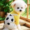 Salopette per animali in velluto a pois con maglione giallo per cani piccoli - Tuta Da Mucca