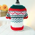 Dog and cat knit sweater with festive red and green wave patterns on a small display - XS / Christmas Fireworks Sweater