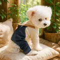 Completo autunnale per cani con maglia beige a maniche lunghe e salopette in denim - Salopette Punk - Beige