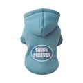 Blue pet hoodie for dogs and cats with Shine Forever printed graphic and cozy hood - Blue Shine Forever Hoodie