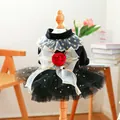 Gothic pet dress with black velvet, gold stars mesh skirt and red rose bow detail - XS / Black Velvet Rose Dress