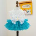 Detailed view of luxury pet dress featuring embroidered butterfly wings and teal mesh tutu - XS / Butterfly Fairy Mesh Dress - Lake Blue