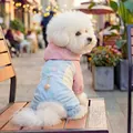 Tuta colorata con cappuccio per animali domestici con toppa Happy Faces su panca - Giacca A Vento Energica A Quattro Zampe - Rosa E Blu