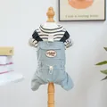 Completo tuta per cani con maglia a righe e salopette vintage blu per piccoli animali - Salopette - Verde Pisello