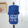Détail d'un sweat à capuche bleu pour animaux avec broderie Little Brat et motifs - Sweat à Capuche Broderie Little Brat