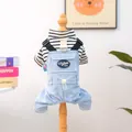 Maglia a righe per cani con salopette azzurra, toppa vintage e anello a D in metallo - Tuta Da Lavoro - Blu Stella