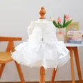 White pet wedding dress with lace embroidery, large silk bow and fluffy mesh skirt - XS / Moonlight Ballet Dress