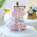 Pink plaid pet dress with large white heart bow and delicate lace skirt trim - XS / Pink Plaid Princess