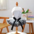Detail of pet lace tutu dress featuring a satin bow and multi-layer mesh skirt - XS / Spinning Ballet Dress