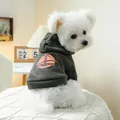 Nahaufnahme eines kleinen Hundes in einem dunkelgrünen California-Hoodie auf einem Sessel - Dunkelgrün (California Druck)