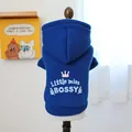 Détail du sweat à capuche bleu pour animaux avec imprimé Little miss BOSSY et polaire - Bleu Royal (Little miss BOSSY)