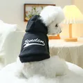 Detail eines schwarzen Hunde-Hoodies mit London-Aufdruck aus weichem Baumwollstoff - Schwarz (London Druck)