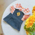 Detail of dog dress with orange plaid shirt, lace collar, and denim skirt on knit rug - Sunflower Bear Denim