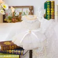 Apricot pet fairy dress with daisy embroidery and large organza bow on a model - XS (Within 1.5kg) / Top And Bottom / Waltz Mesh Skirt - Champagne