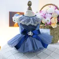 Blue velvet pet dress with layered grey mesh tutu and crown rhinestone bow detail - XS-Bust 30cm, Length 20cm (Approx 1-1.5kg) / Royal Gown - Blue