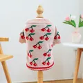 Close-up of pink pet knit sweater featuring cherry patterns and ribbed knit texture details - XS / Pink