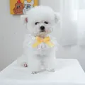White lace pet collar with yellow satin bow on a Bichon Frise for party styling - Rainbow Candy Mesh Style (Size M)