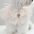 Elegant pink lace pet bib with Victorian cameo brooch for dogs and cats party - Pink Heart Mesh Style (Size M)