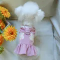 Hundekleid aus Cord in Rosa mit Spitzenkragen, Hasen-Patches und Metall-D-Ring für Leinen - XS / Rosa Hase