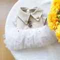 Détail de robe pour chat avec col en similicuir beige, boutons dorés et tulle à paillettes - Mini-jupe En Cuir Beige À Paillettes / XS-Poitrine 30cm, Longueur 20cm (env. 1-1,5kg)