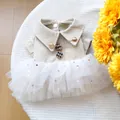 Detalle de vestido beige para perro con cuello de cadena dorada y falda de tul brillante - XS / Beige