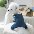 Dog two-piece set with black striped sweater and dark blue denim overalls for small pets - XS / Striped Classic Denim