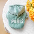 Detalle de la sudadera de forro polar verde salvia con bordado de letras PARIS - Sudadera con Capucha Franela Verde Paris / XS