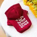 Dark red pet hoodie with bone patterns and humor text on soft white knit background - XS / Burgundy