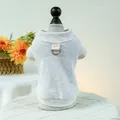 Detail of light gray pet sweatshirt with metal D-ring leash attachment and cotton fabric - XS / Light Gray