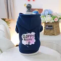 Dettaglio felpa blu per cani con stampa Sloppy Kisses e morbido tessuto di cotone traspirante - XS / Sloppy Kisses / Blu nebbia