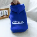 Nahaufnahme von blauem Hunde-Hoodie mit Newyork-Druck und weicher Strick-Textur - XS / Königsblau