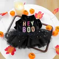 Halloween PETCIRCLE black velvet dress with gold stars and Hey Boo slogan for small dogs - XS Chest 30 Back 20 / Hey Boo Halloween Mesh Style